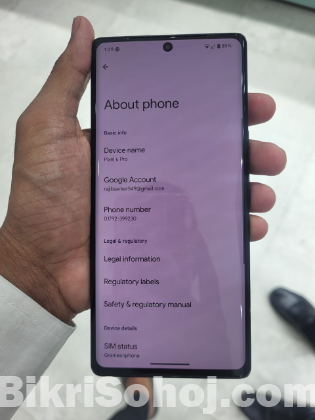 Google Pixel 6 Pro